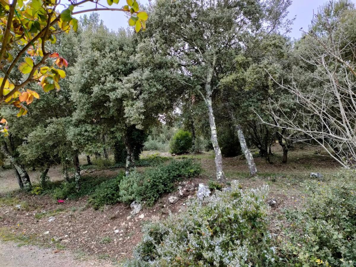 Villa O'fildl'eau à Sillans-la-Cascade Extérieur photo